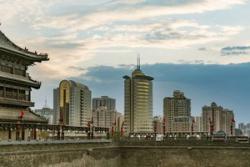 中国で高まる「日本ブーム」の実際は？　大和総研の現地視察の訪問記