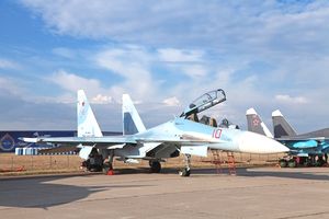 ｓｕ ３０ 戦闘機事故 インドでなぜ多い 鳥が多い 暑いからだ 下手だからだ 中国メディア サーチナ