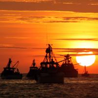 今度は海を舞台に、日中韓の間でまた激しい「三すくみ」の争いが始まった！＝中国メディア