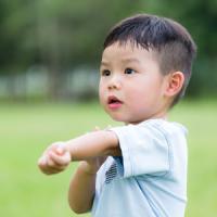 「ヒアリ」だけじゃない！　日本でも吸血虫「マダニ」被害に注意を　７月１１日の中国記事トピックス