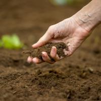 中国人は誰も気づかなかった「日本企業が中国で借りた土地を“わざと放置”し続けた理由」