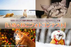「いぬ・ねこフォトコンテスト」開催　入賞作品は２０１８年ＳＢＩいきいき少短オリジナルカレンダーに