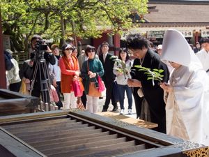 日本の神前結婚式の厳粛さに中国人がため息 まるでお葬式のようだ サーチナ