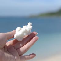 明日夜９時は「世界ふしぎ発見」　東京からたったの３時間　台湾で奇跡の絶景に出会う！