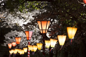 上野公園はサクラもすごいが ありとあらゆるグルメが並ぶ屋台村もすごかった 中国メディア サーチナ