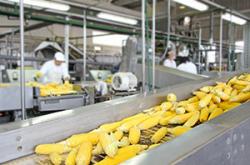 【北京ＩＰＯ】食糧輸送機械部品製造の鎮江三維輸送装備が８日に公募開始、３０００万株を発行予定