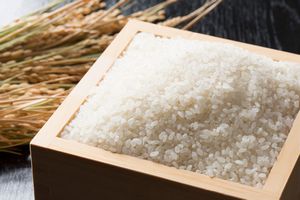 日本人が卵かけご飯を口にできるのは「日本の米がおいしいからに違いない」＝中国
